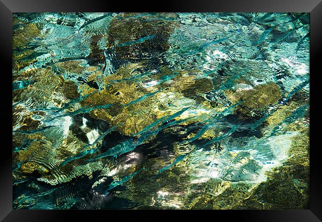 Abstract of the Underwater World. Production by Na Framed Print by Jenny Rainbow