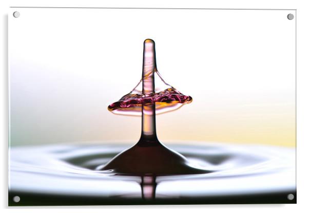 fluid Art droplet splash Acrylic by Terry Pearce