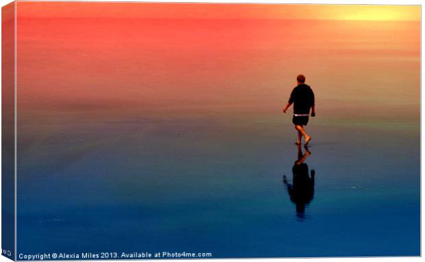 Time to Reflect Canvas Print by Alexia Miles