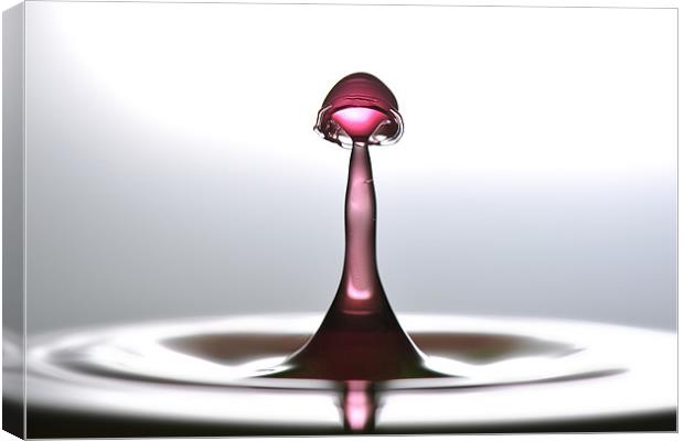 Fluid Art droplet splash Canvas Print by Terry Pearce