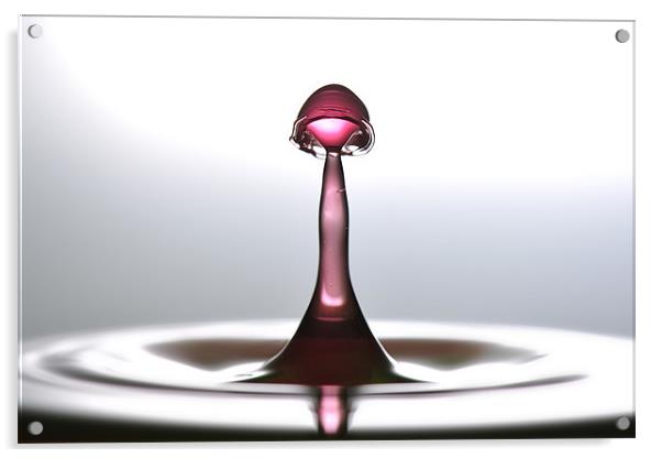 Fluid Art droplet splash Acrylic by Terry Pearce