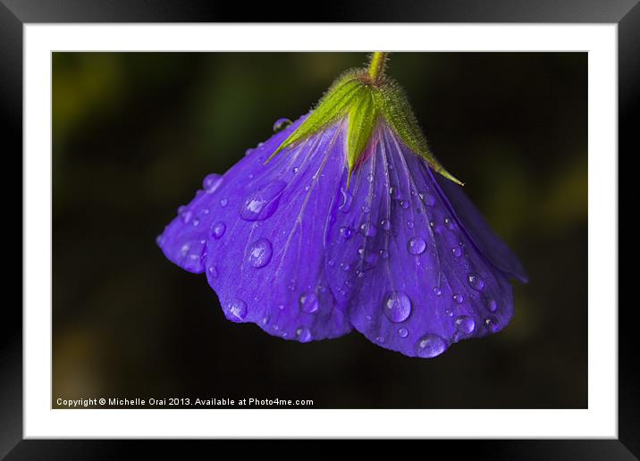 Bowing in the Rain Framed Mounted Print by Michelle Orai