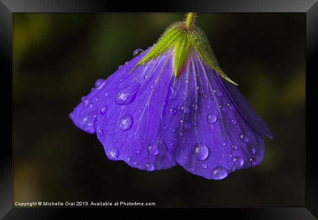 Bowing in the Rain Framed Print by Michelle Orai