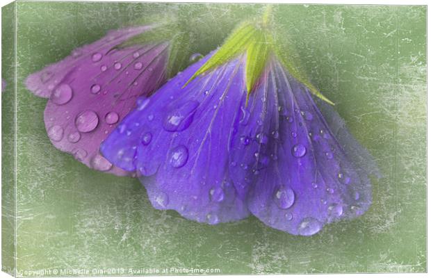 Bowing in the rain 2 Canvas Print by Michelle Orai