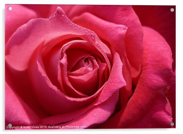Rose Tears Acrylic by Nicky Vines