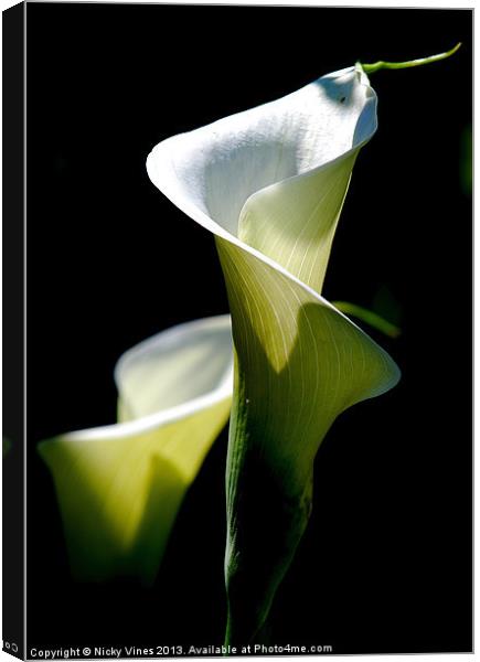 Peace Lily Canvas Print by Nicky Vines