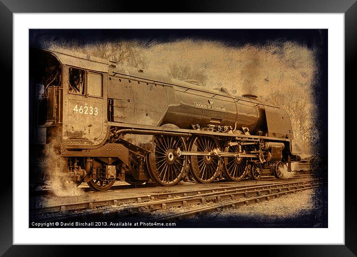 Duchess in Sepia Framed Mounted Print by David Birchall