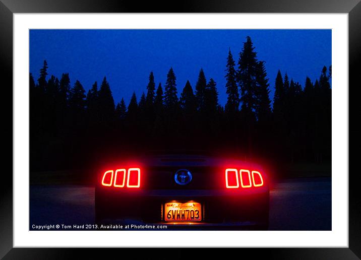 Mustang Framed Mounted Print by Tom Hard