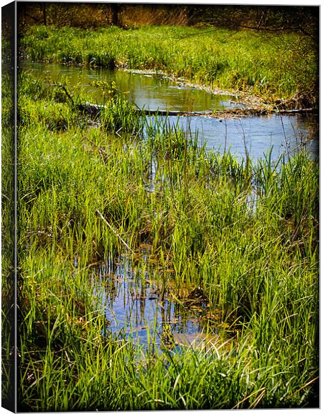 River Kennet Marshes, Kintbury, Berkshire, England Canvas Print by Mark Llewellyn