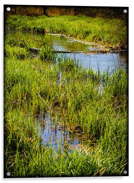 River Kennet Marshes, Kintbury, Berkshire, England Acrylic by Mark Llewellyn