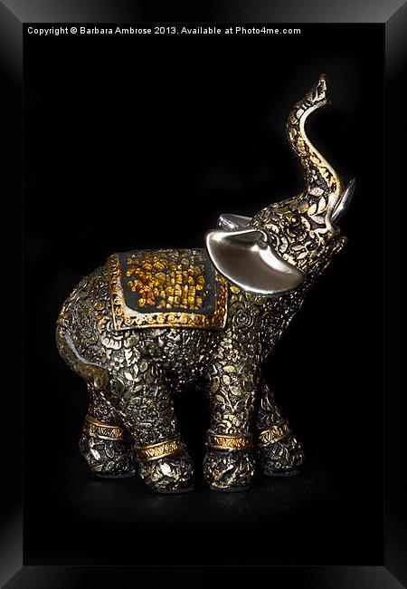 Elephant Framed Print by Barbara Ambrose