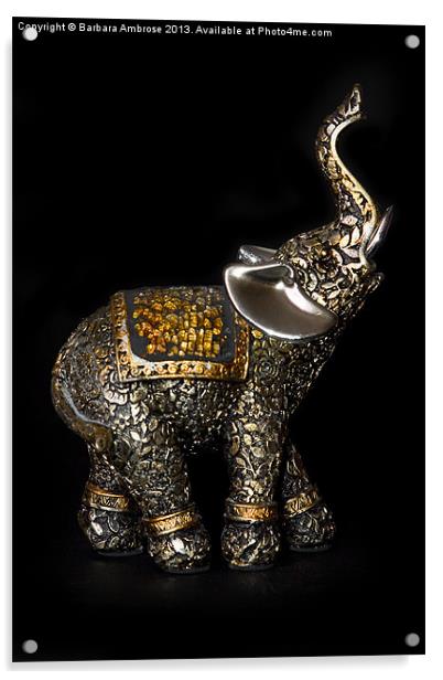 Elephant Acrylic by Barbara Ambrose