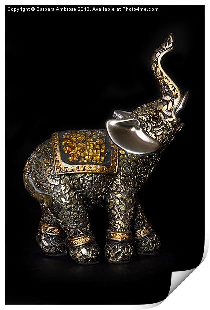 Elephant Print by Barbara Ambrose