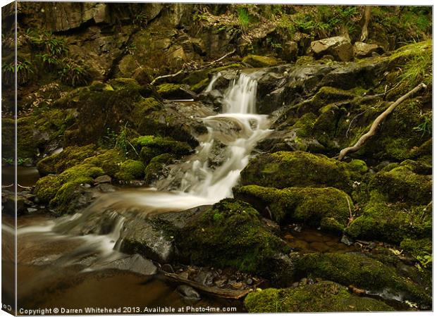 Waterfall in Spring 2 Canvas Print by Darren Whitehead