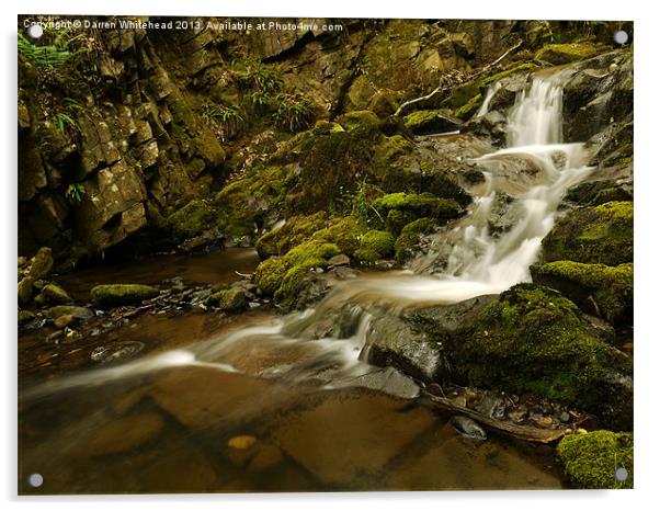 Waterfall in Spring 3 Acrylic by Darren Whitehead