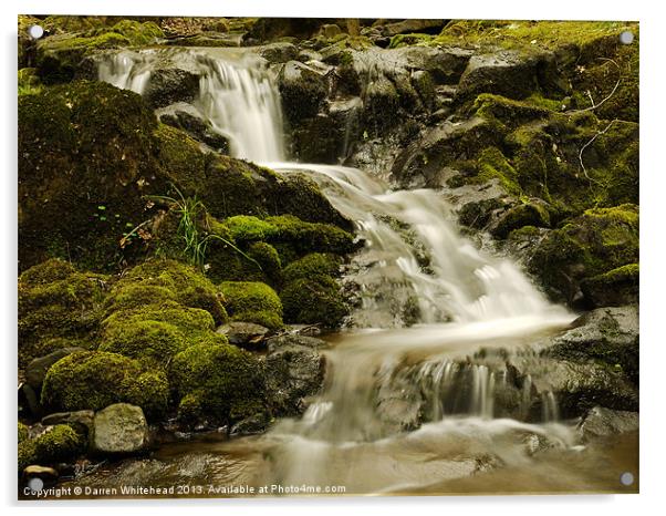 Waterfall in Spring 5 Acrylic by Darren Whitehead