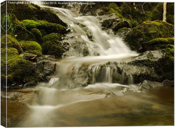 Waterfall in Spring 6 Canvas Print by Darren Whitehead