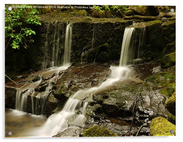 Waterfall in Spring 9 Acrylic by Darren Whitehead