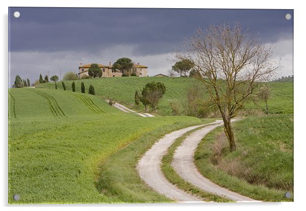 Tuscan farmhouse Acrylic by Thomas Schaeffer