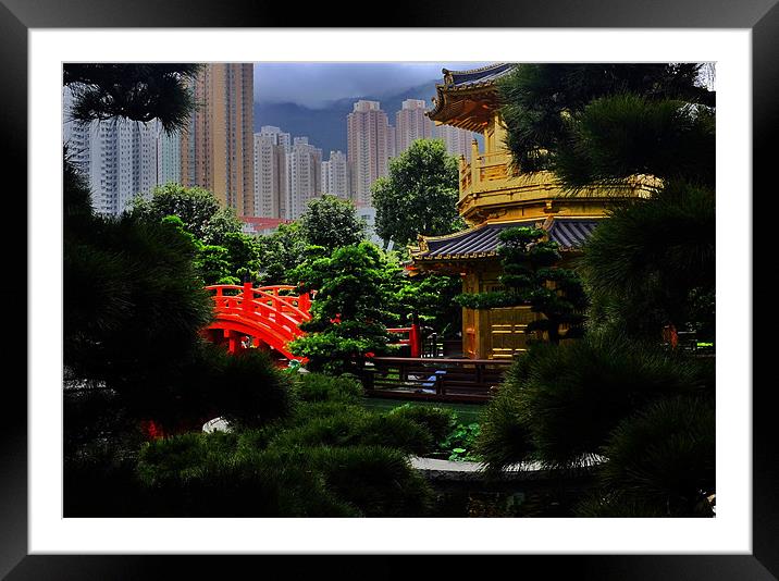 Gardens of Nan Lian Framed Mounted Print by peter tachauer