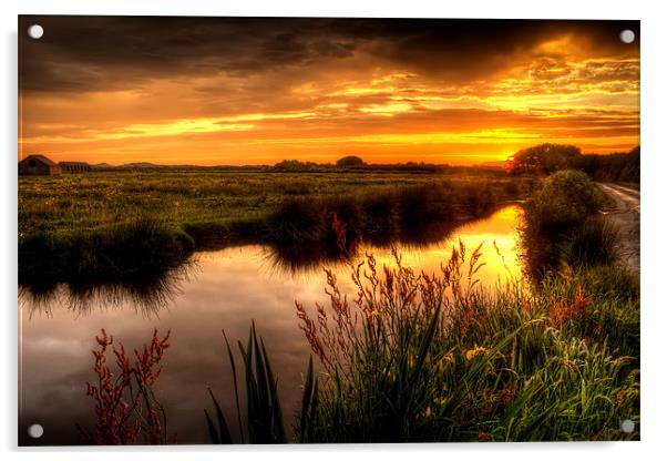 Braunton Marsh sunset Acrylic by Dave Wilkinson North Devon Ph