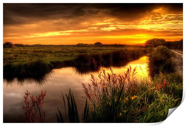 Braunton Marsh sunset Print by Dave Wilkinson North Devon Ph