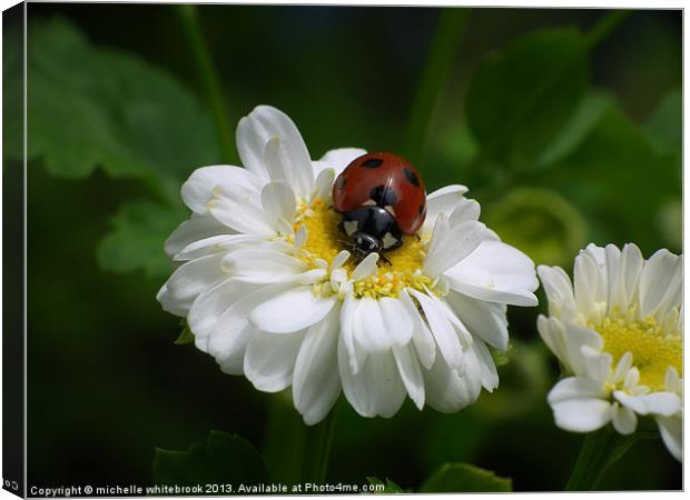 Little Visiter Canvas Print by michelle whitebrook