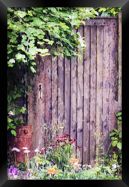Secret Garden Framed Print by Dawn Cox