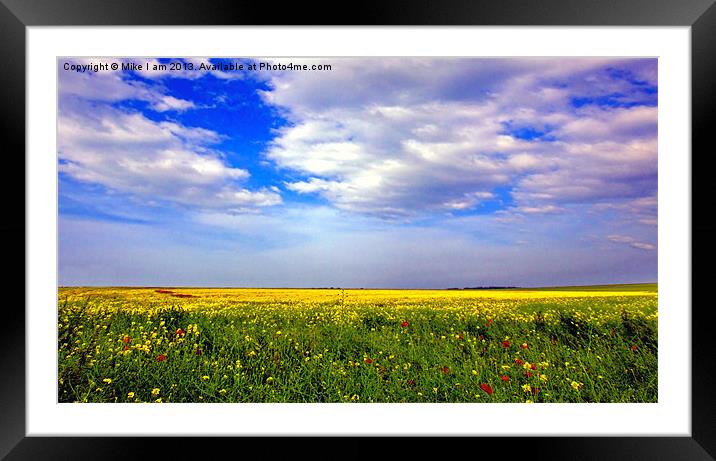Rape seed oil field Framed Mounted Print by Thanet Photos