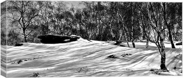 Shadows in the Snow Canvas Print by Stuart Hough