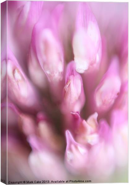 Red clover Canvas Print by Mark Cake