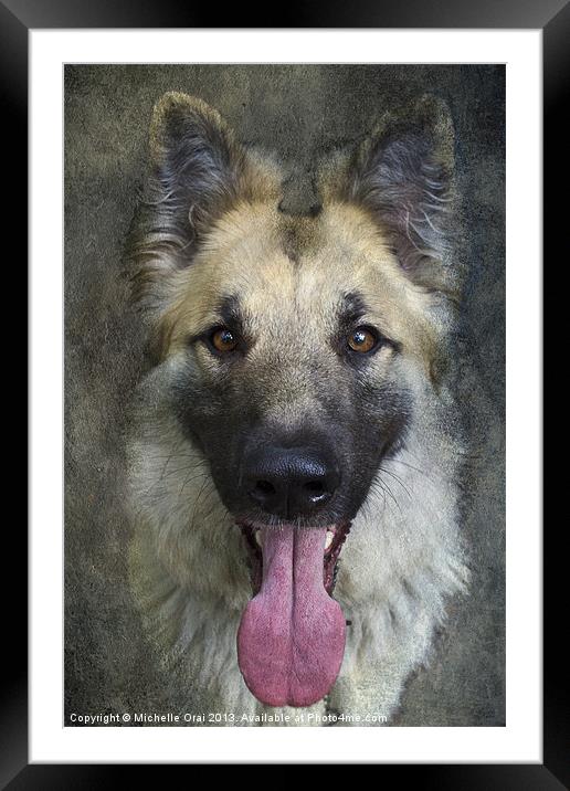 German Shepherd Dog Framed Mounted Print by Michelle Orai