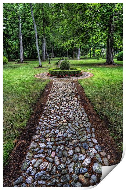 Garden Path Print by Ian Mitchell