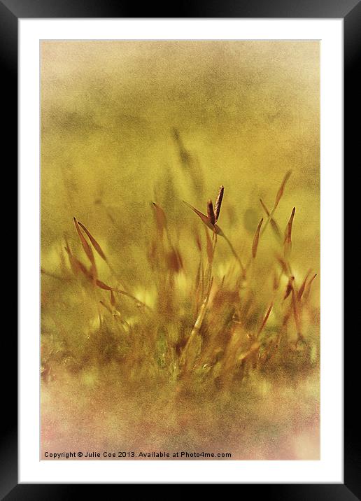 Mossy Framed Mounted Print by Julie Coe