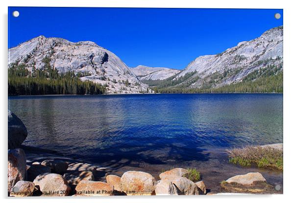 Tenaya Lake, Yosemite Acrylic by Tom Hard