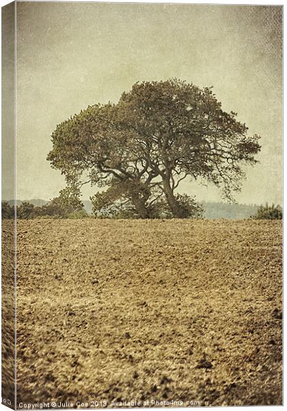 Muted Tree Canvas Print by Julie Coe