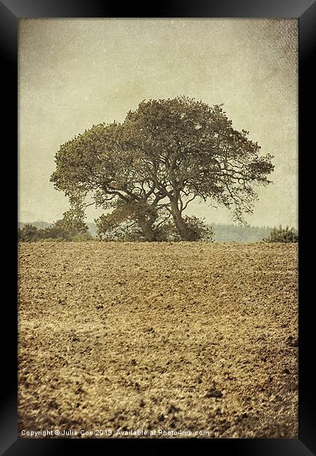 Muted Tree Framed Print by Julie Coe