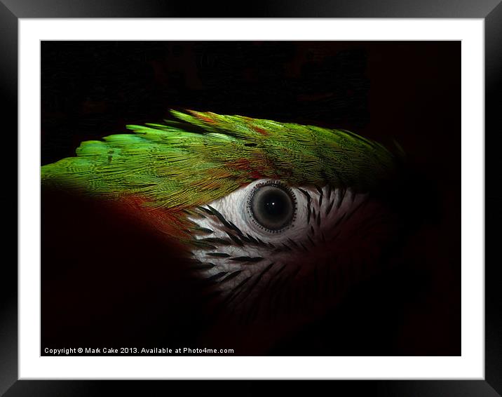 From the depths Framed Mounted Print by Mark Cake