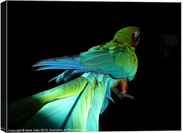 Jubilee macaw Canvas Print by Mark Cake