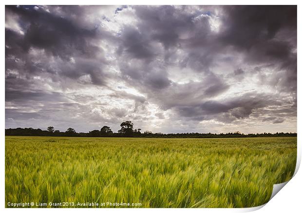 Dramatic stormy sky over barley field. Print by Liam Grant