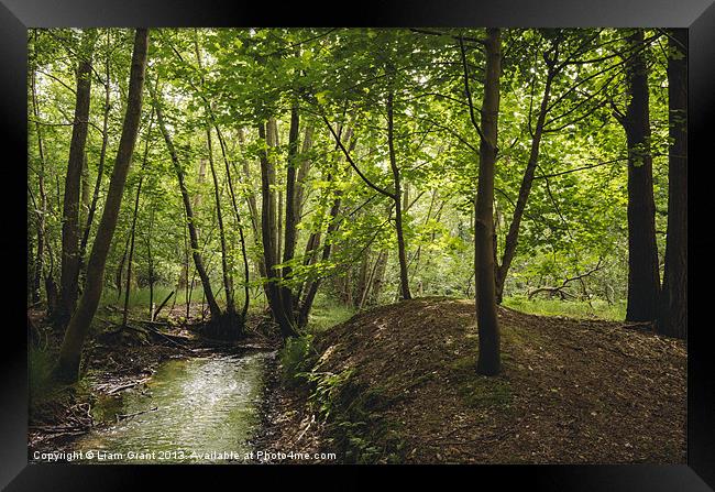 Small stream running through deciduous woodland. N Framed Print by Liam Grant