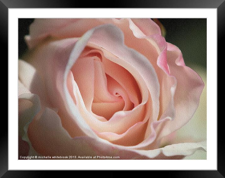 Soft Pink Framed Mounted Print by michelle whitebrook