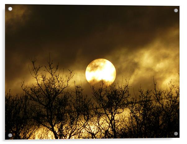The SUN RISES Acrylic by Ursula Keene