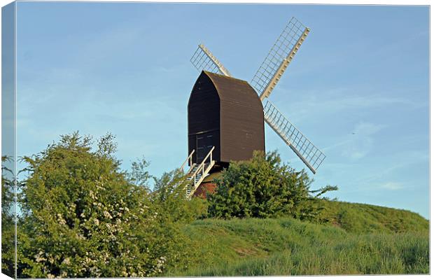 Windmill on Brill Common Canvas Print by Tony Murtagh