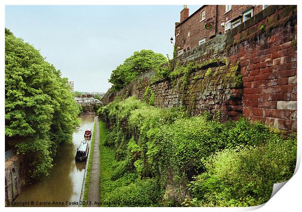 Chester City Walls and Canal Print by Carole-Anne Fooks
