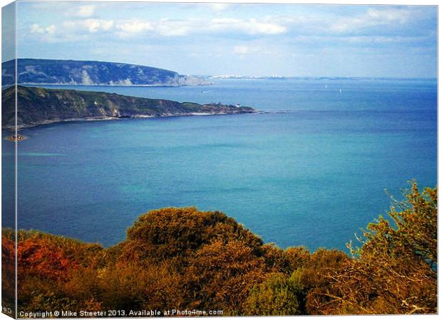 Durlston Bay Canvas Print by Mike Streeter