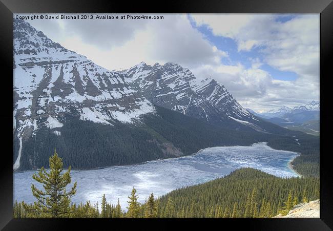 Peyto Lake Canada Framed Print by David Birchall