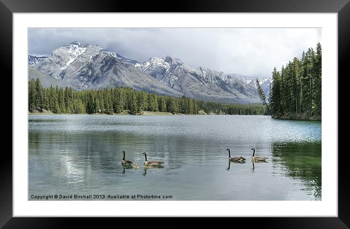 Johnson Lake, Banff National Park, Canada Framed Mounted Print by David Birchall