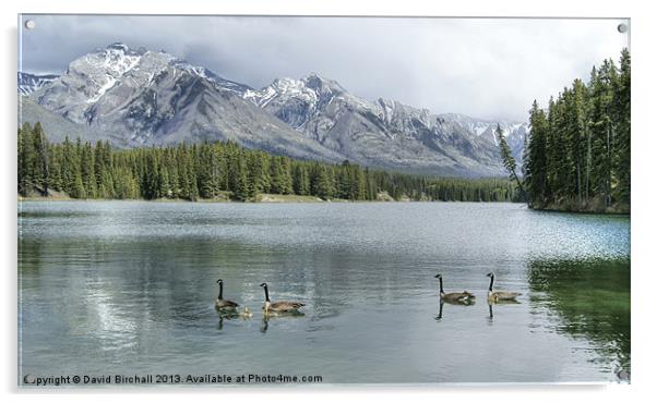 Johnson Lake, Banff National Park, Canada Acrylic by David Birchall