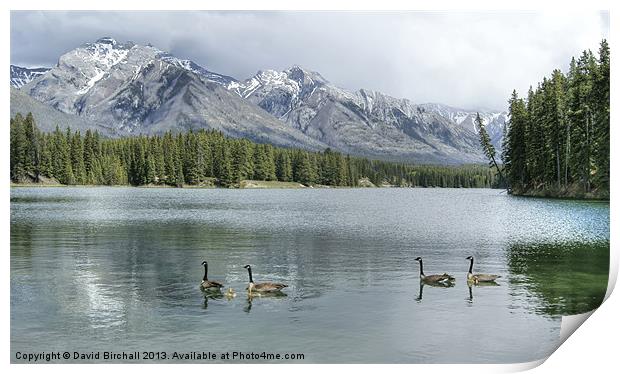 Johnson Lake, Banff National Park, Canada Print by David Birchall
